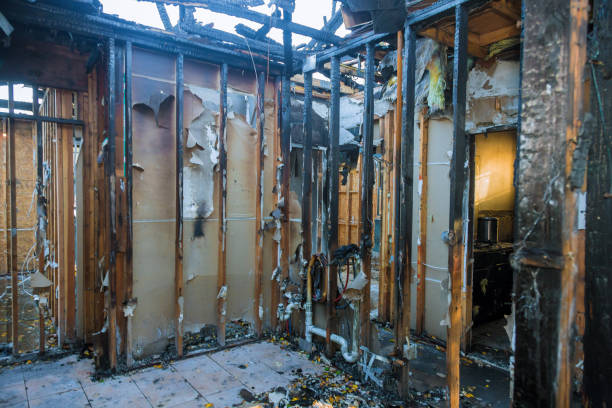 Professional Fire Damage Removal technician working in Occidental, CA